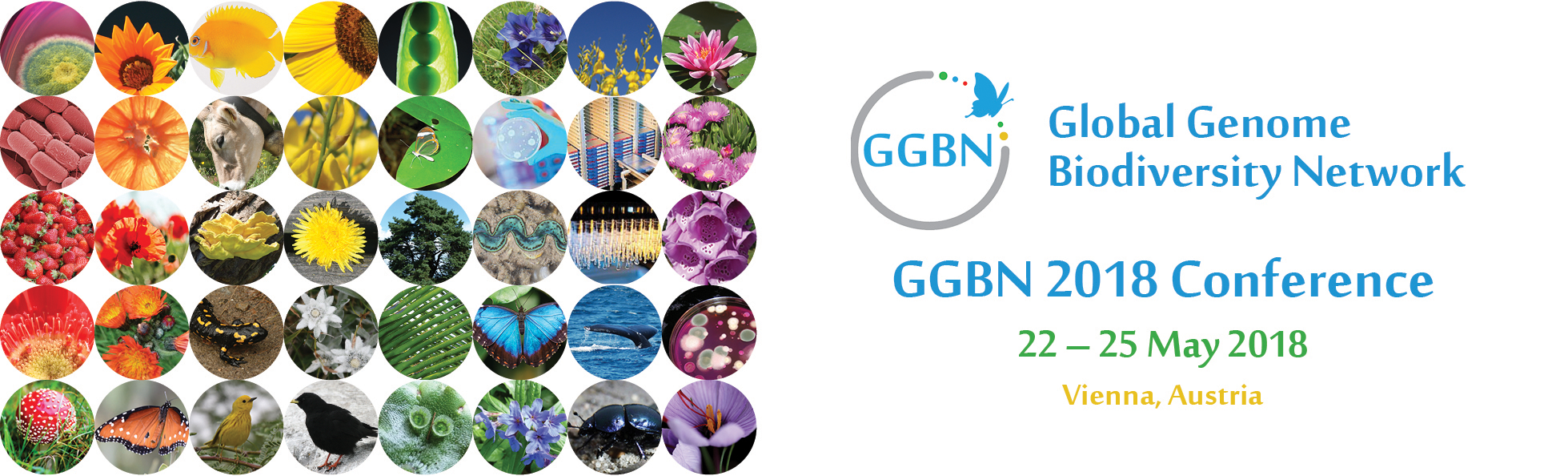 GGBN 2018 Logo